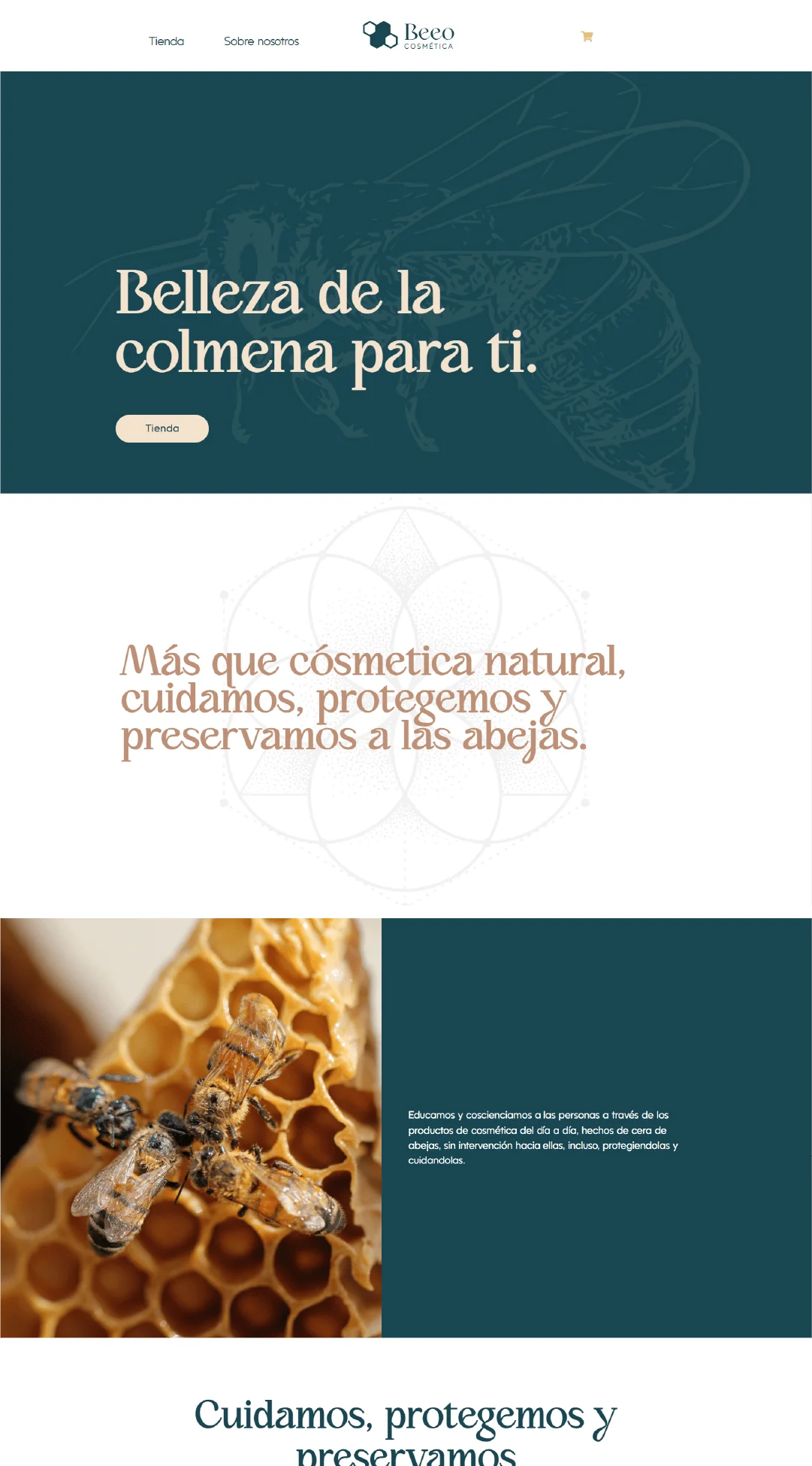 Diseño de sitio web